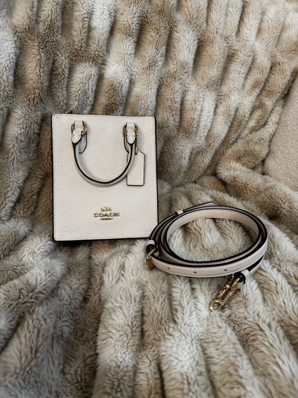 Coach North South Cream Pebbled Leather Mini Tote - Picture 7 of 8